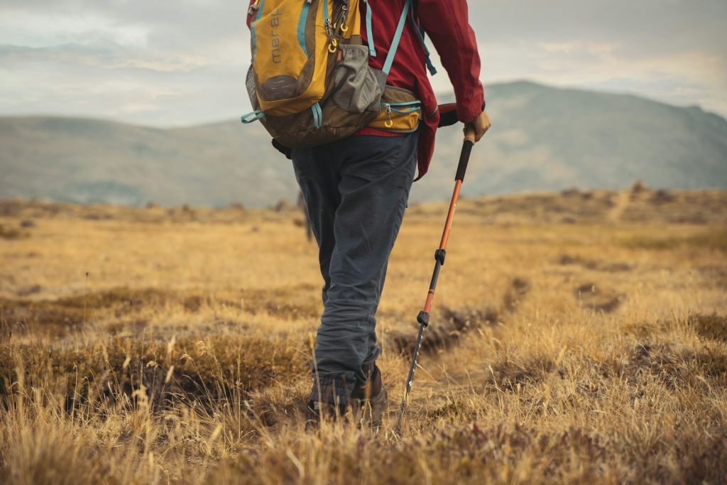 Walking with poles