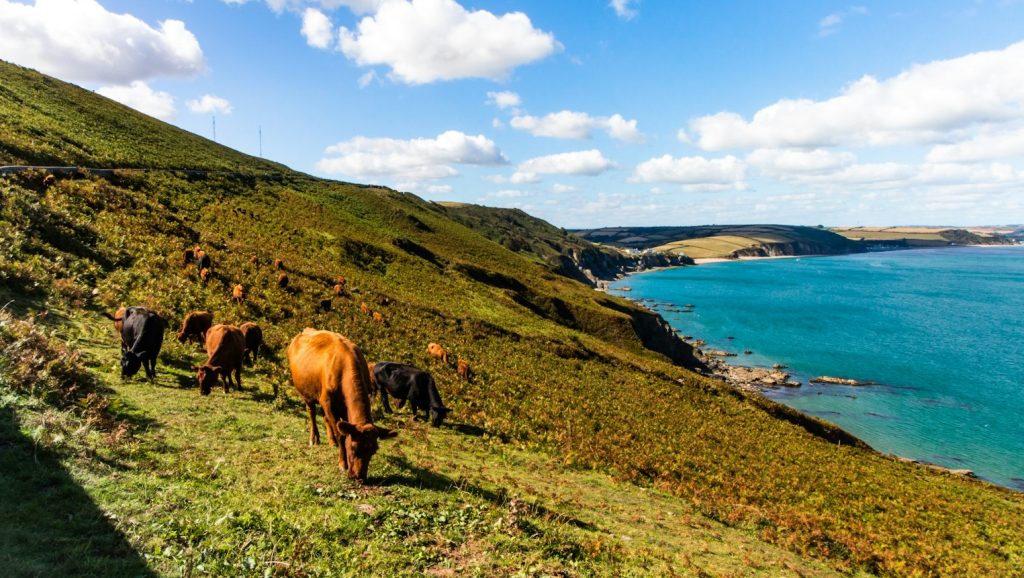 South West Coast Path, Devon